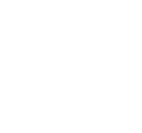 Salt & Fire